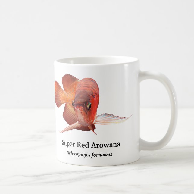Taza De Café Asian Arowana (Derecha)