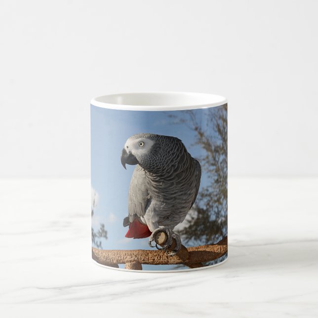 Taza De Café Asombroso loro gris africano (Centro)