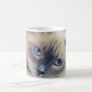 Taza De Café Asombroso muñeco rojo con ojos azules  gato