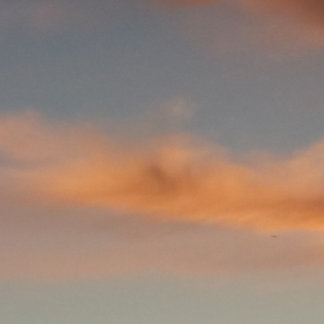 Taza De Café Atrapar cada Mug de ensueño