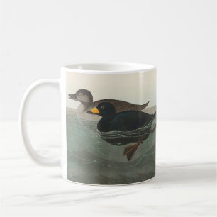 Taza De Café Audubon American Scoter Duck Classic