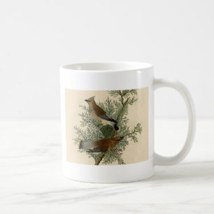 Taza De Café Audubon Cedar Waxwing Bird