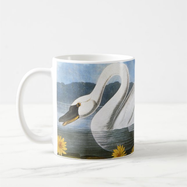 Taza De Café Audubon: Cisne común (Izquierda)