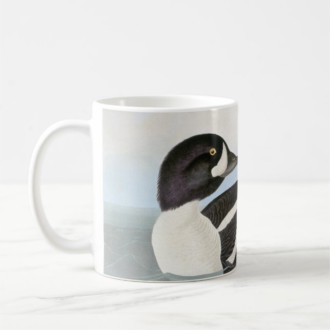 Taza De Café Audubon: El Goldeneye de la carretilla (Izquierda)