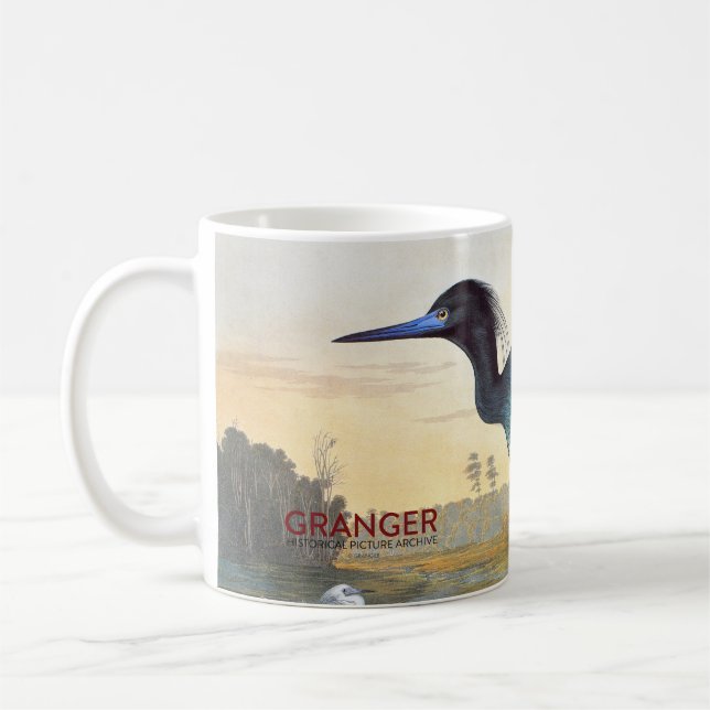 Taza De Café Audubon: Garza de pequeño azul (Izquierda)