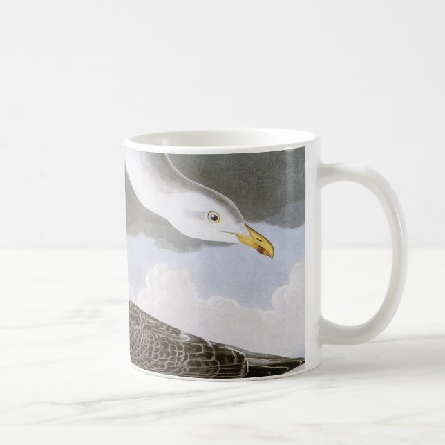 Taza De Café Audubon: Gaviota de arenques (Derecha)