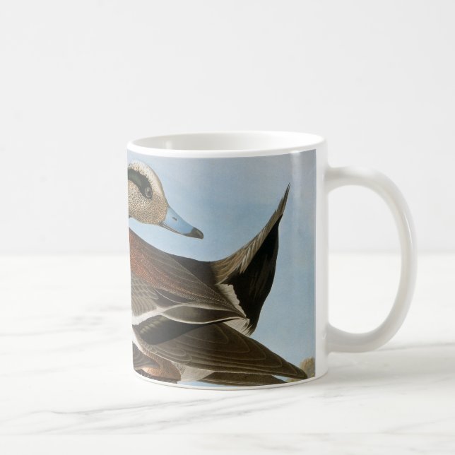 Taza De Café Audubon: Wigeon (Derecha)
