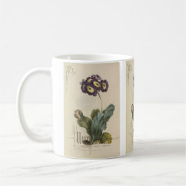 Taza De Café Auricula de Paul Jerrard