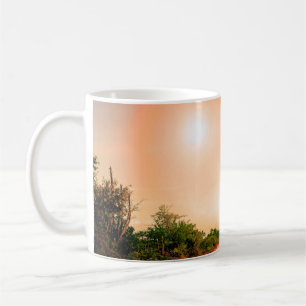 Taza De Café Australia, Bahía Coral, 16 de mayo de 2018. Campam