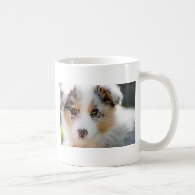 Taza De Café Australian shepherd puppy (Derecha)