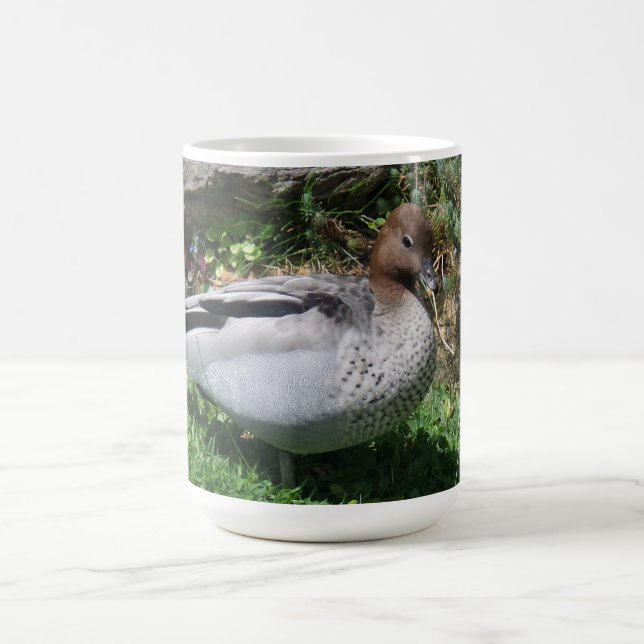 Taza De Café Australian Wood Duck in Tranquil Garden (Centro)