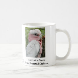 Taza De Café Australiano Galah (Cockatoo color de rosa de