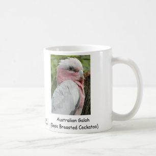 Taza De Café Australiano Galah (Cockatoo color de rosa de