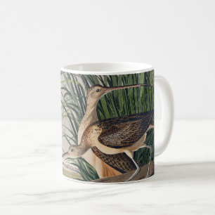 Taza De Café Ave Audubon
