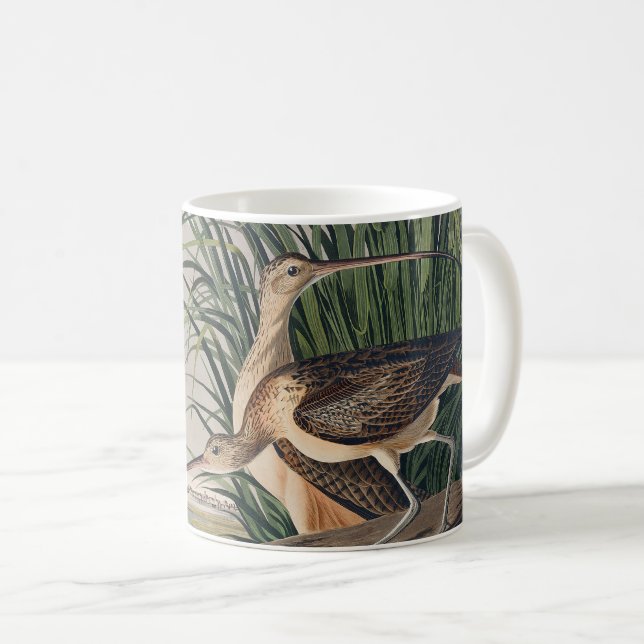 Taza De Café Ave Audubon (Anverso derecho)