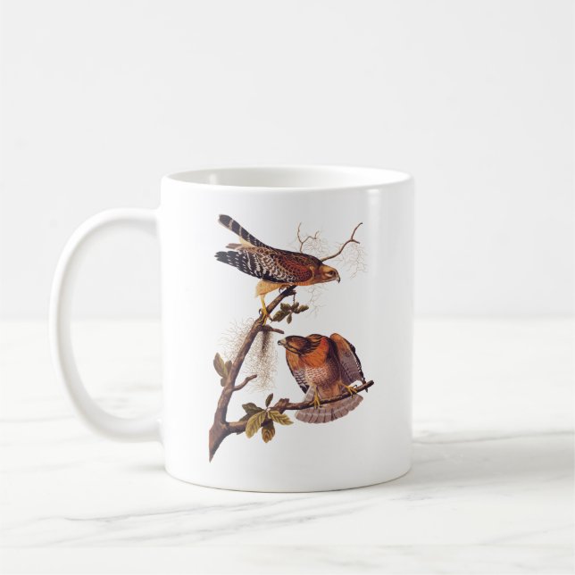 Taza De Café Ave Audubon de Halcón Rojo de Prey (Izquierda)