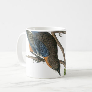Taza De Café Ave azul occidental de Audubon