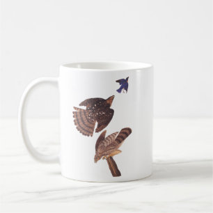 Taza De Café Ave de Prey en el halcón de Cooper de Audubon