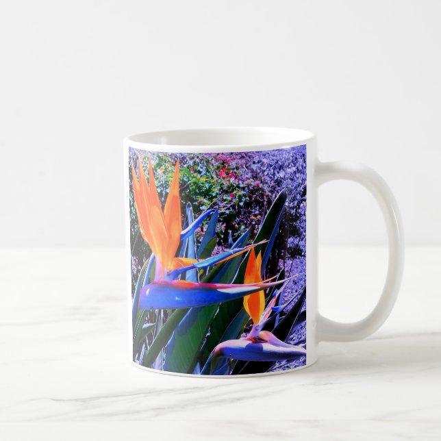 Taza De Café Ave del paraíso Hawái (Derecha)