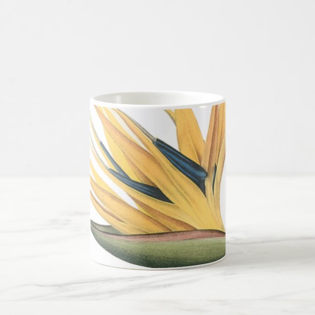 Taza De Café ave-of-paradise (Strelitzia reginae) por Redouté (Centro)