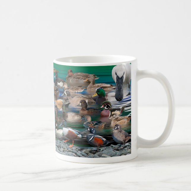 Taza De Café Aves acuáticas de América del Norte (Derecha)
