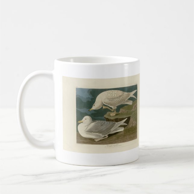 Taza De Café Aves Audubon de América (Izquierda)