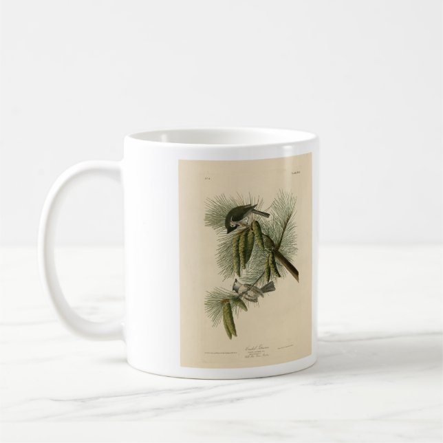 Taza De Café Aves Audubon de Titmouse (Tufted) de América (Izquierda)
