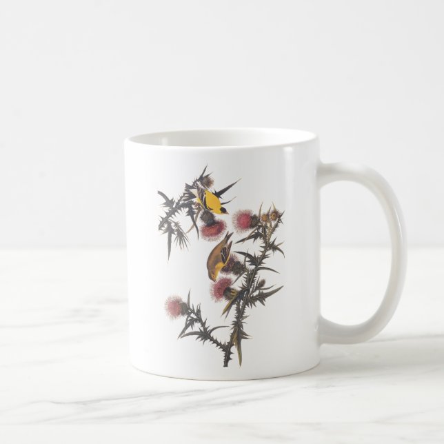 Taza De Café Aves Audubon estadounidenses de Goldfinch (Derecha)