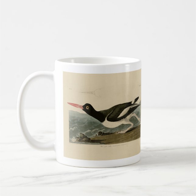 Taza De Café Aves de América de Audubon (Izquierda)