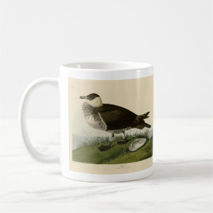 Taza De Café Aves de América de Jager (Pomarine Jaeger) Audubon