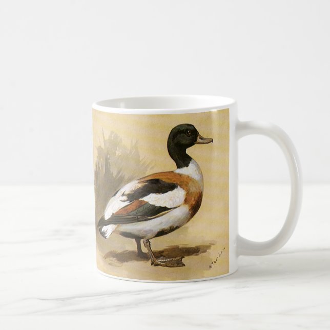 Taza De Café Aves de animales salvajes de época, pato mallard (Derecha)