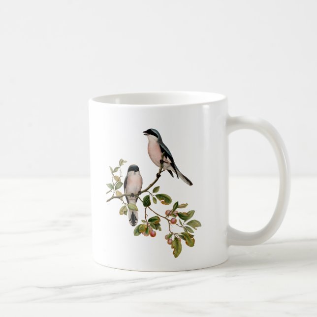 Taza De Café Aves de Bonito de época en una sucursal (Derecha)