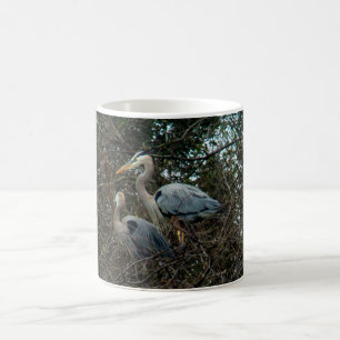 Taza De Café Aves de garza azul nido en árboles