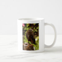 Aves de presa