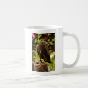 Taza De Café Aves de presa