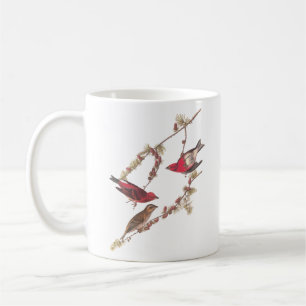Taza De Café Aves rojas fincas moradas de Audubon en el árbol d