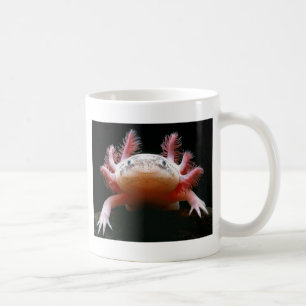 Taza De Café Axolotl Axolotl.png