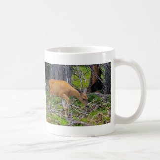 Taza De Café ¡Ayuden a proteger nuestra vida salvaje!
