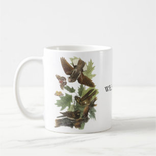 Taza De Café Azote-pobre-, Juan Audubon