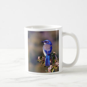 Taza De Café Azul de California