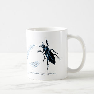 Taza De Café Azul del escarabajo el   del sacristán del insect