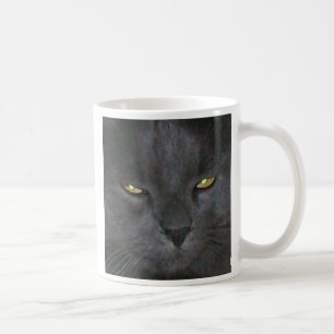 Taza De Café Azul ruso del pelo largo