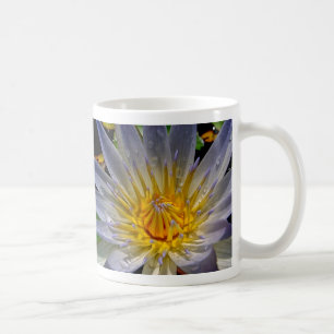 Taza De Café Azul y oro del lirio de agua