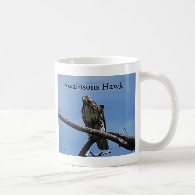 Taza De Café B54 Halcón de Swainson (Derecha)