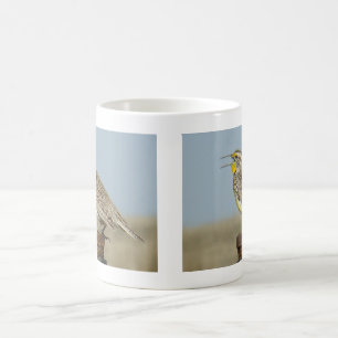 Taza De Café B6 Pradera Occidental