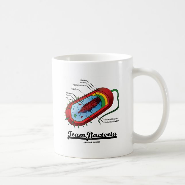 Taza De Café Bacterias del equipo (Prokaryote) (Derecha)