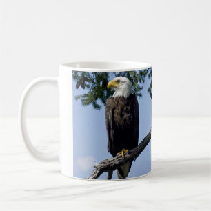 Taza De Café Bald Eagle Parent