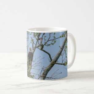 Taza De Café Bald Eagle Smile Coffee Mug