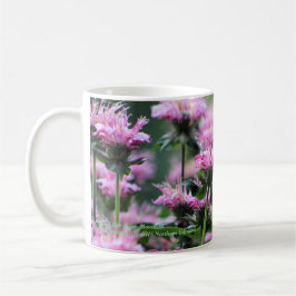 Taza De Café Bálsamo de abeja rosado, Monarda
