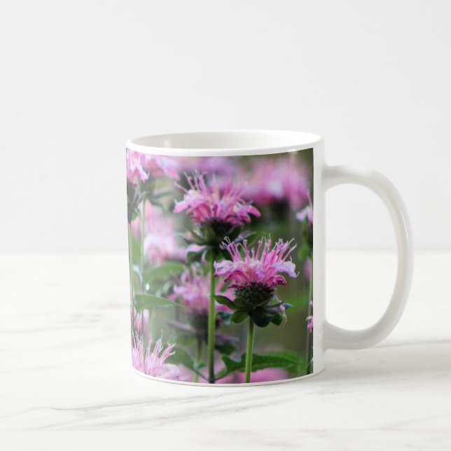 Taza De Café Bálsamo de abeja rosado, Monarda (Derecha)